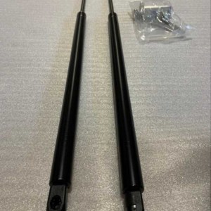 Peugeot 3008 / 5008 İçin Uyumlu Kaput Amortisörü