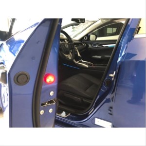 Universal Universal Kapi İkaz Lambasi (Pilli)