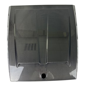 Mercedes W464 DRY Carbon V TYPE Kaput